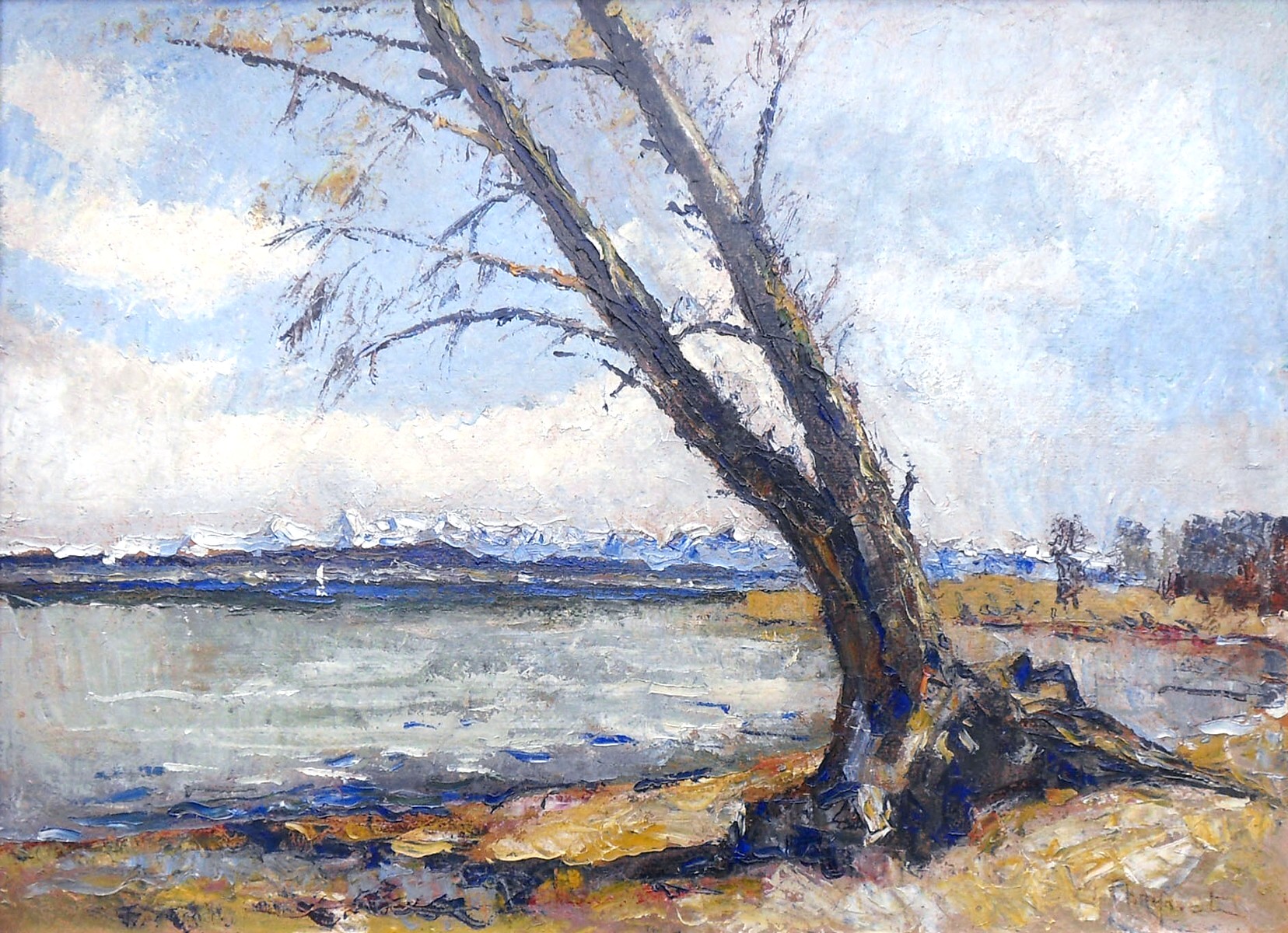 MAX-THEYNET-les-alpes-et-lac-de-neuchatel