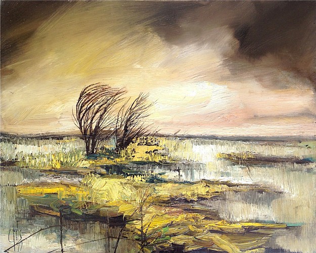 christian-chris-etang-de-hamel-vignette