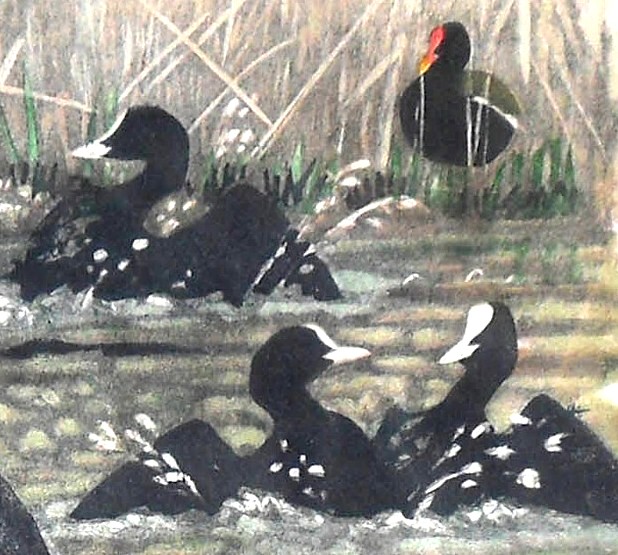robert-hainard-vignette