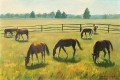 max-clement-chevaux-52-75cm-vignette