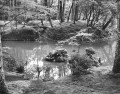 photographies-vignette