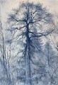 aurele-barraud-gouache-61-43cm