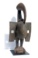 calao-60cm-face