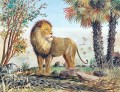 ch-calame-50-60cm