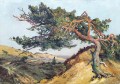 charles-wellens-dunes-du-limbourg-35-50cm