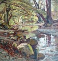 duvoisin-campagne-geneve-49-47cm-1913