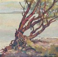 ferdinand-maire-arbre-et-vully-50-50cm