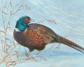 francois-blin-faison-50cm-40cm