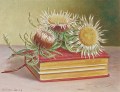 guido-locca-les-chardons-24-31cm