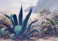 guido-odierna-capri-50cm-70cm