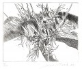 jacques-minala-12-15cm-1983