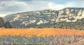 jean-pierre-mello-saleve-apres-la-pluie-30cm-52cm