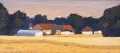 jungo-fermes-fermes-en-ete-12-24cm