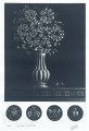mario-avati-le-galon-directoire-36-24cm