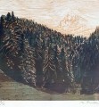 martin-thonen-xylogravure-29-29cm