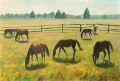 max-clement-chevaux-52-75cm