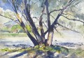 max-theynet-arbres-et-chaumont-34-48cm