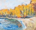max-theynet-baie-de-colombier-50-60cm