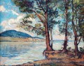 max-theynet-chaumont-lac-neuchatel-50-62cm