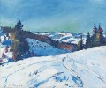 max-theynet-jura-enneige-50-60cm