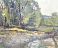 max-theynet-rivage-auvernier-60-70cm