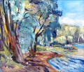 max-theynetbord-du-lac--60cm-70cm