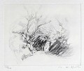 michel-wolfender-12-15cm-1995