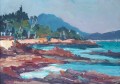 roger-vuillem-st-raphael-21-30cm-1971