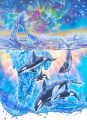 roland-keller-artic-vision-72cm-51cm