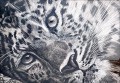 roland-keller-leopard-50-70cm