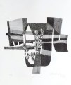 roland-schaller-lithographie-la-gentiane