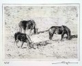 segal-chevaux