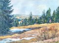 serge-voisard-mont-soleil-41-53cm