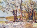 theynet-max-plage-de-colombier-43-55cm