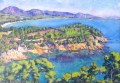 violette-niestle-baie-de-cavalaire-34-50cm