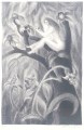 walter-wehinger-34-23cm