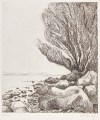 walter-wehinger-lac-neuchatel-21-18cm