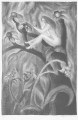 wehinger-gravure-34-22cm