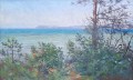 william-rothlisberger-lac-neuchatel-27-44cm-1911